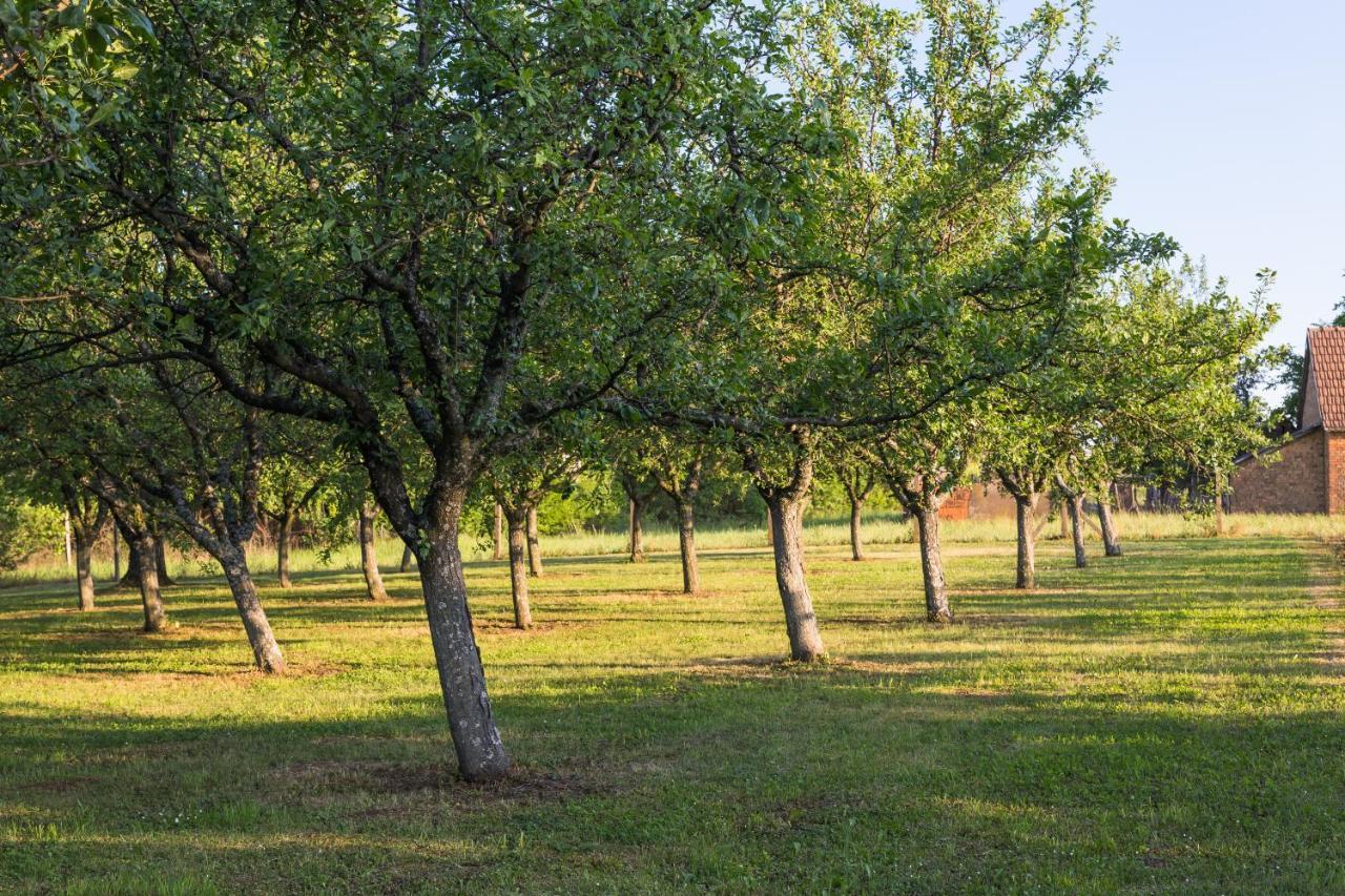 Village Wine House Mandicevac Dış mekan fotoğraf