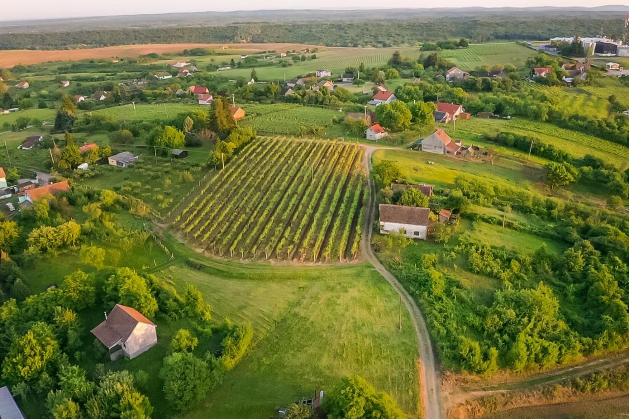 Village Wine House Mandicevac Dış mekan fotoğraf