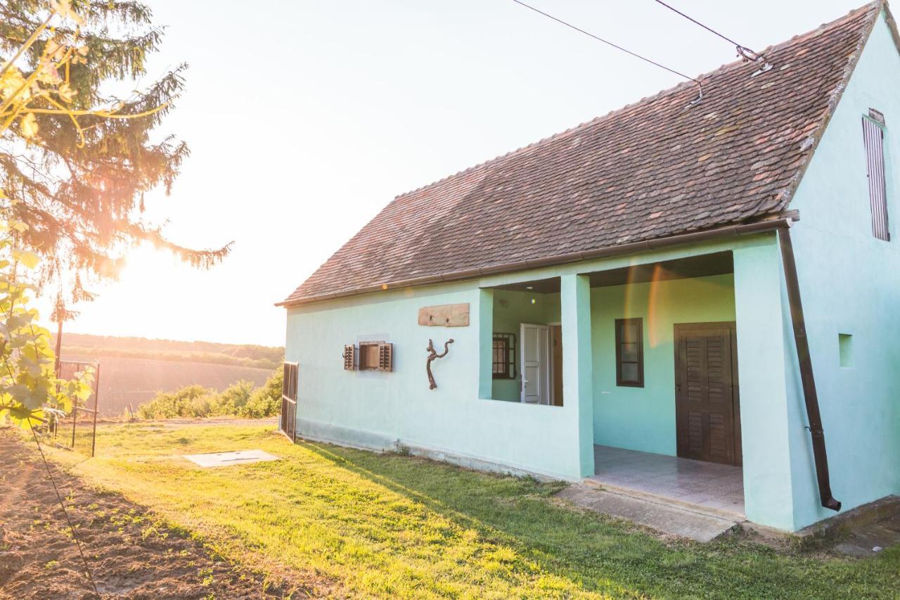 Village Wine House Mandicevac Dış mekan fotoğraf