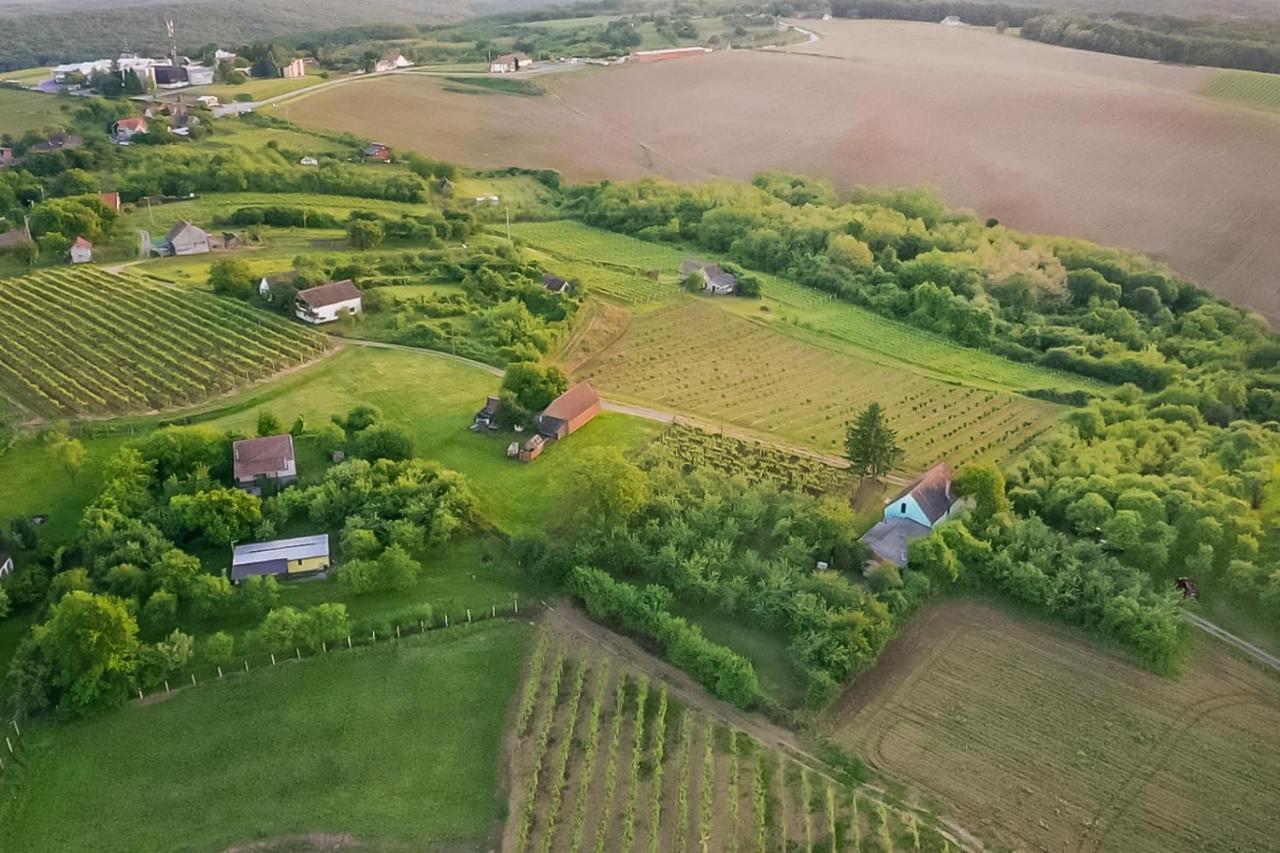 Village Wine House Mandicevac Dış mekan fotoğraf