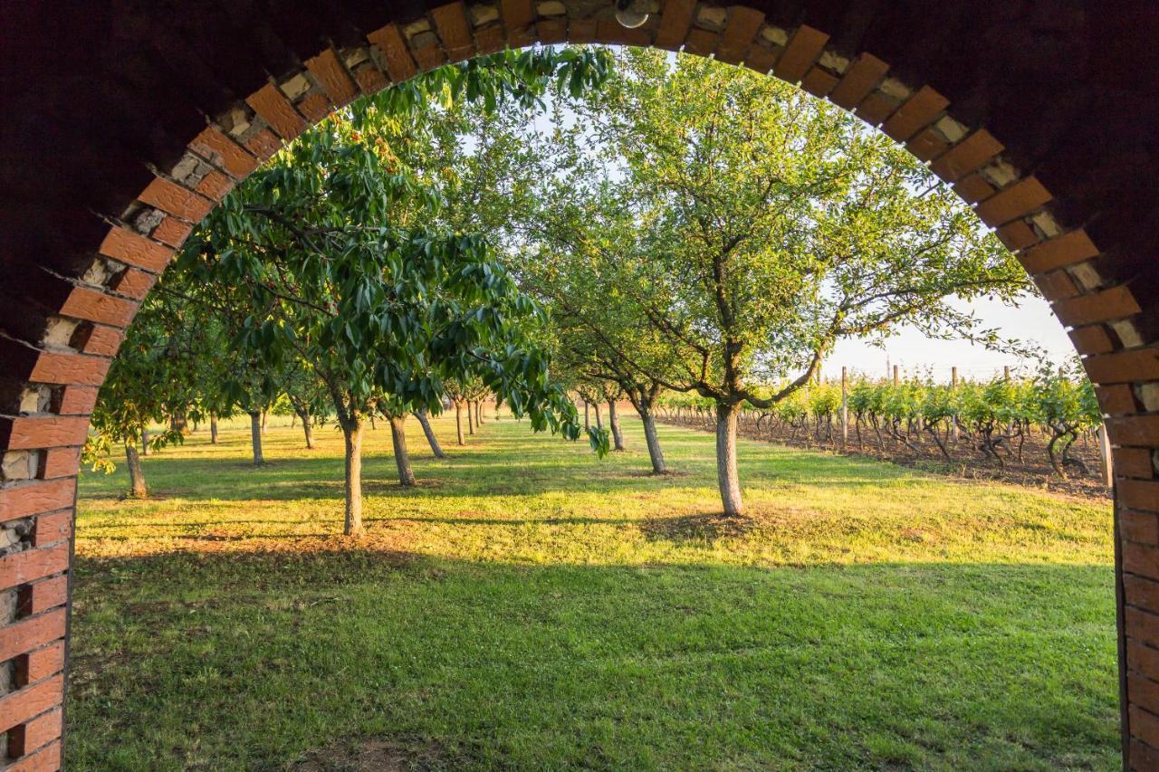 Village Wine House Mandicevac Dış mekan fotoğraf