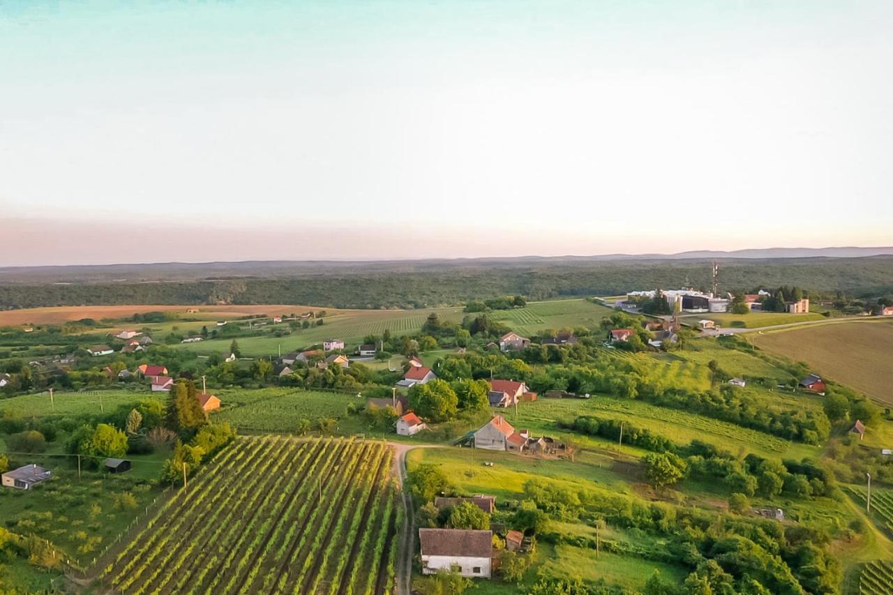 Village Wine House Mandicevac Dış mekan fotoğraf