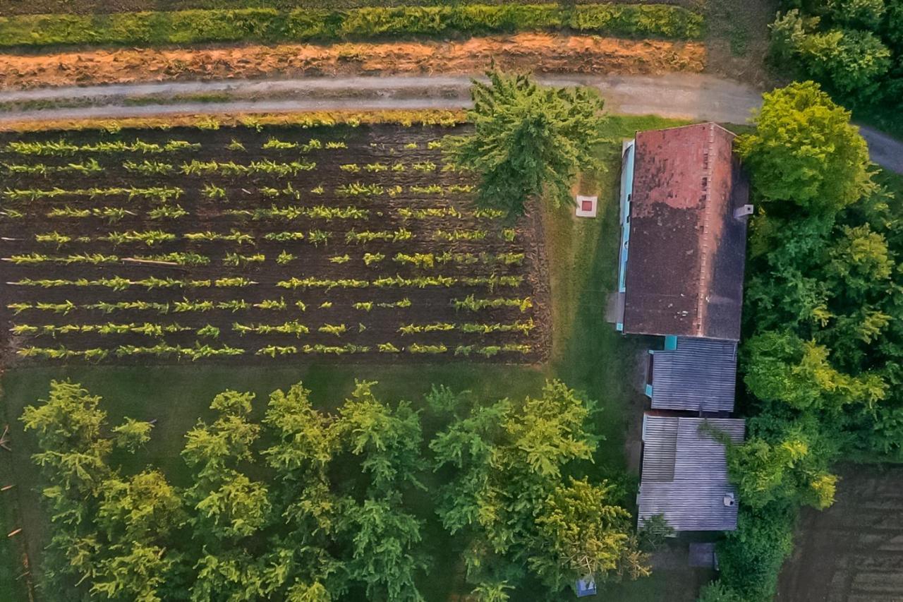 Village Wine House Mandicevac Dış mekan fotoğraf