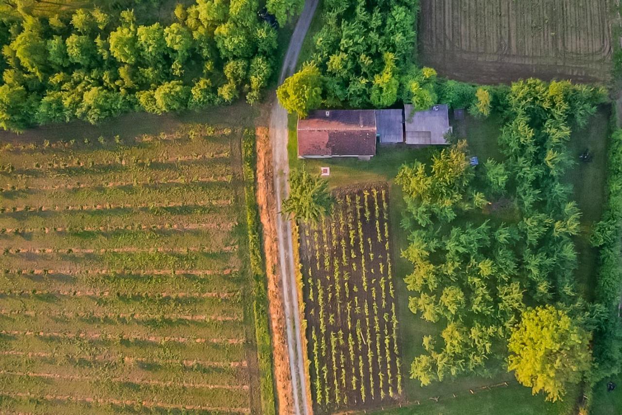 Village Wine House Mandicevac Dış mekan fotoğraf
