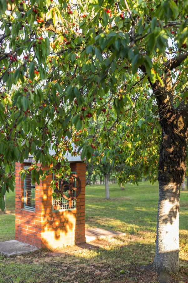 Village Wine House Mandicevac Dış mekan fotoğraf