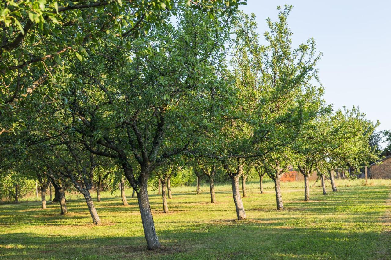 Village Wine House Mandicevac Dış mekan fotoğraf