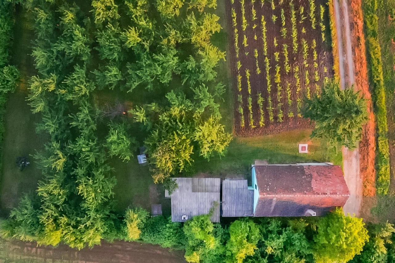 Village Wine House Mandicevac Dış mekan fotoğraf