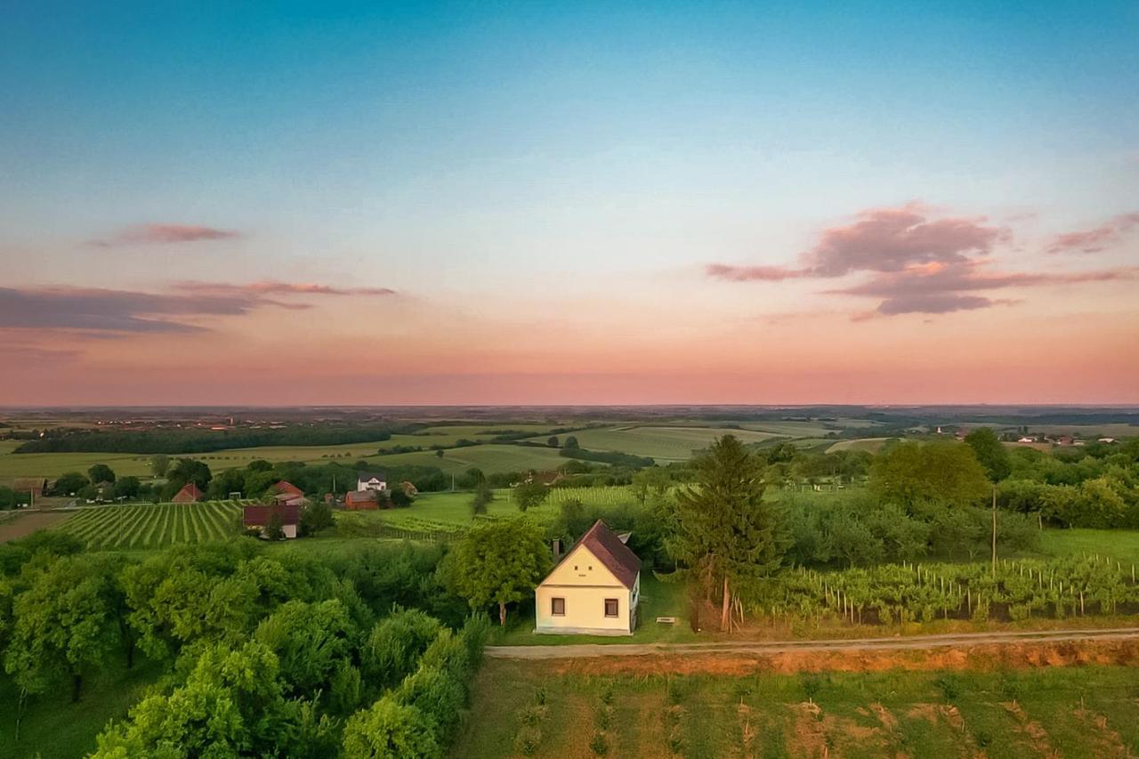 Village Wine House Mandicevac Dış mekan fotoğraf