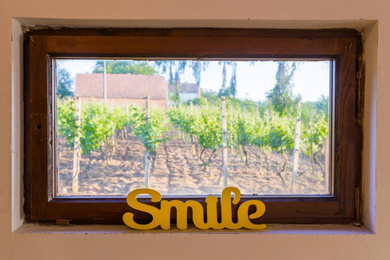 Village Wine House Mandicevac Dış mekan fotoğraf