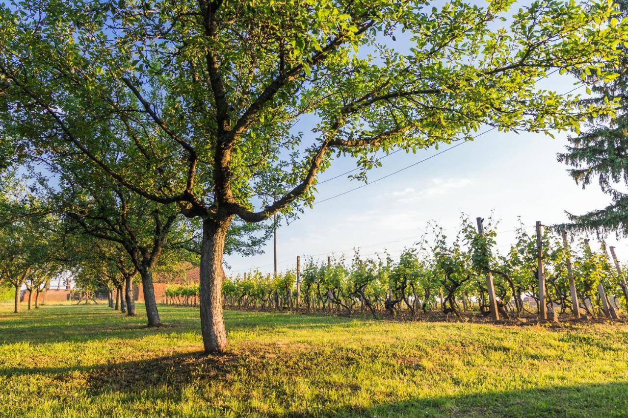 Village Wine House Mandicevac Dış mekan fotoğraf