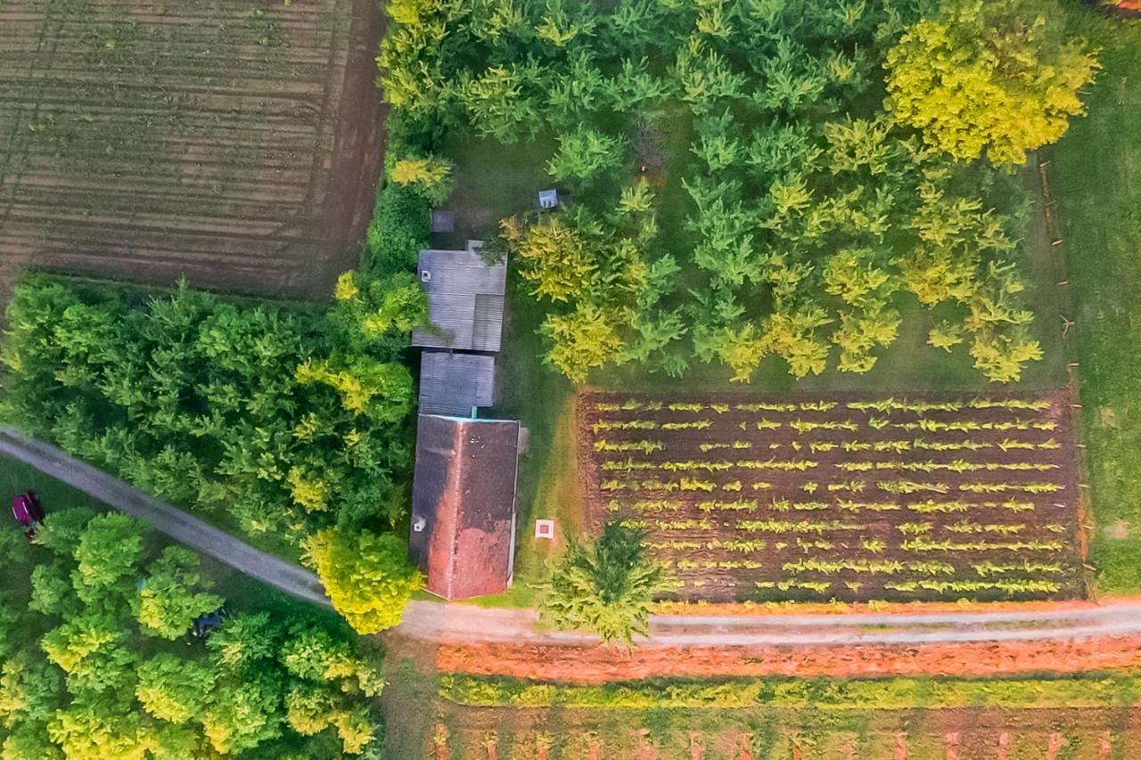 Village Wine House Mandicevac Dış mekan fotoğraf