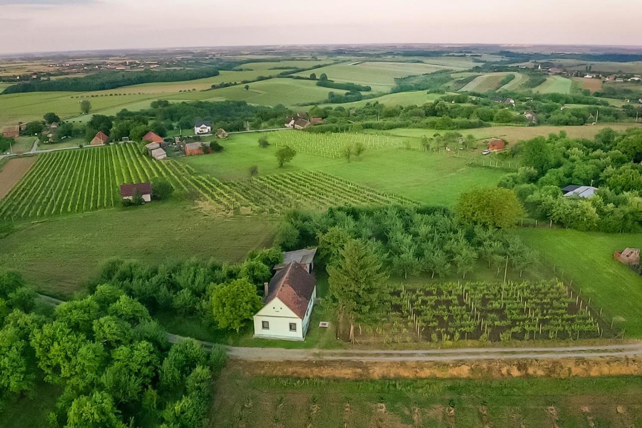 Village Wine House Mandicevac Dış mekan fotoğraf